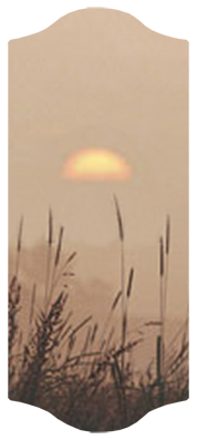 DARAY C 334 BZ Harvest Sunrise Bronze